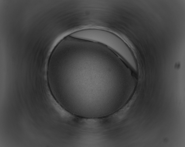 X0000091481246200708301907