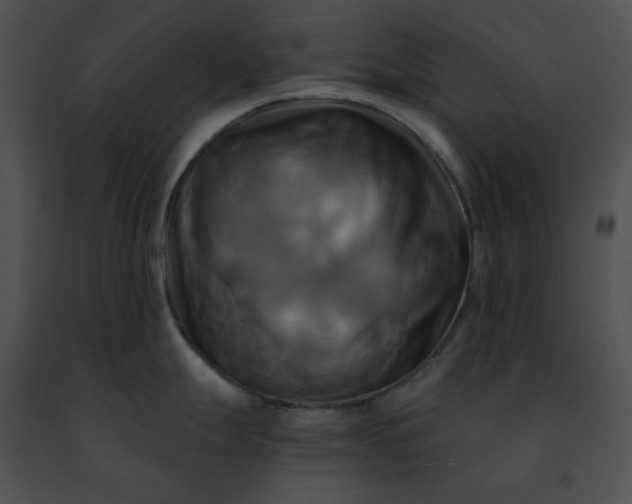 X0000091481247200708301907