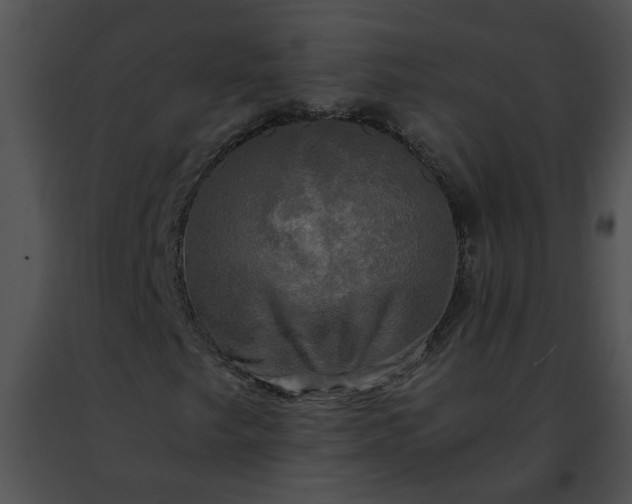 X0000091481249200708301907