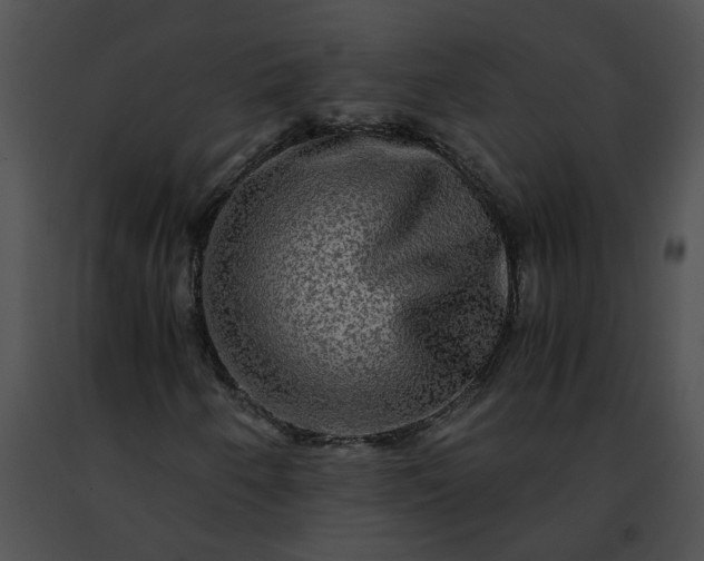 X0000091481250200708301907