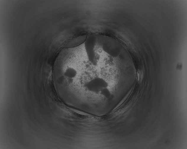 X0000091481251200708301907