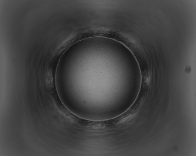 X0000091481252200708301907