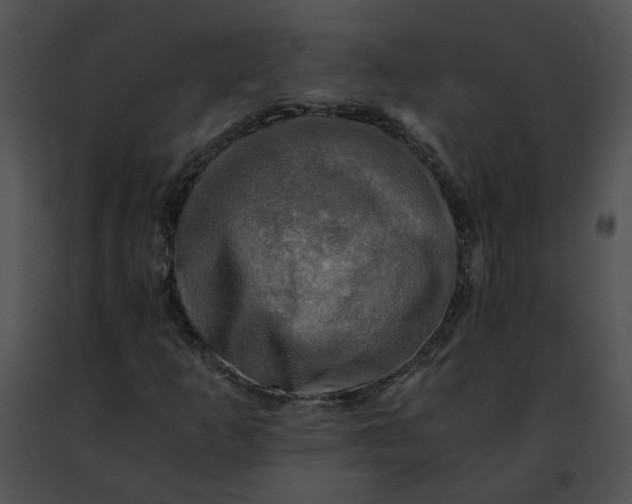 X0000091481253200708301907