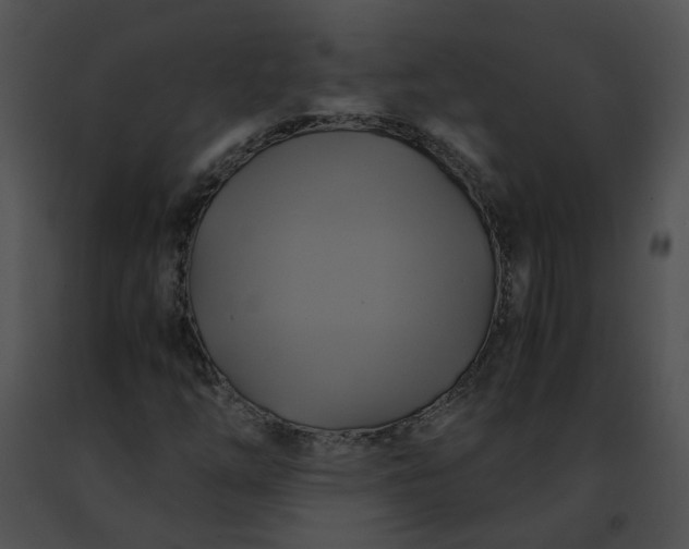 X0000091481254200708301907