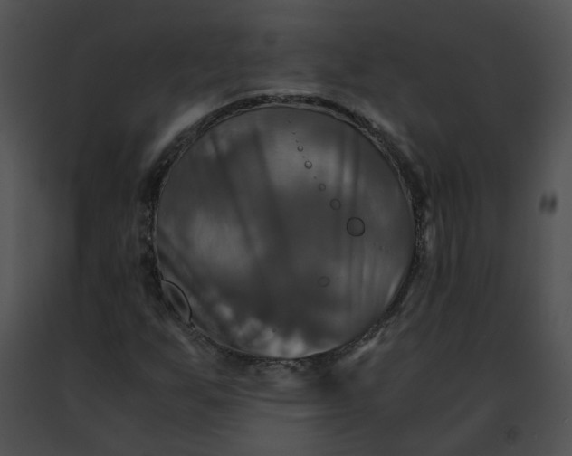 X0000091481255200708301907