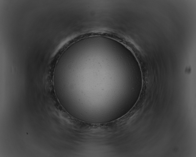 X0000091481256200708301907