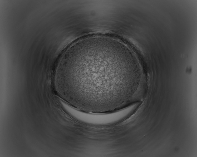 X0000091481257200708301907