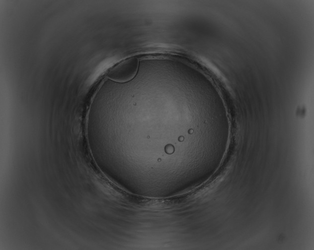 X0000091481259200708301907