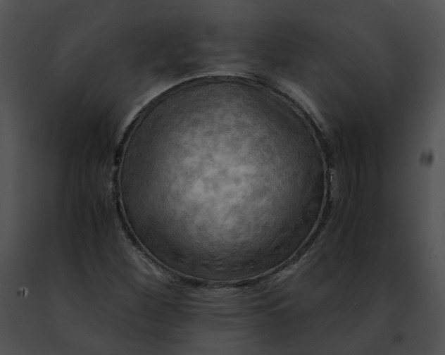 X0000091481260200708301907