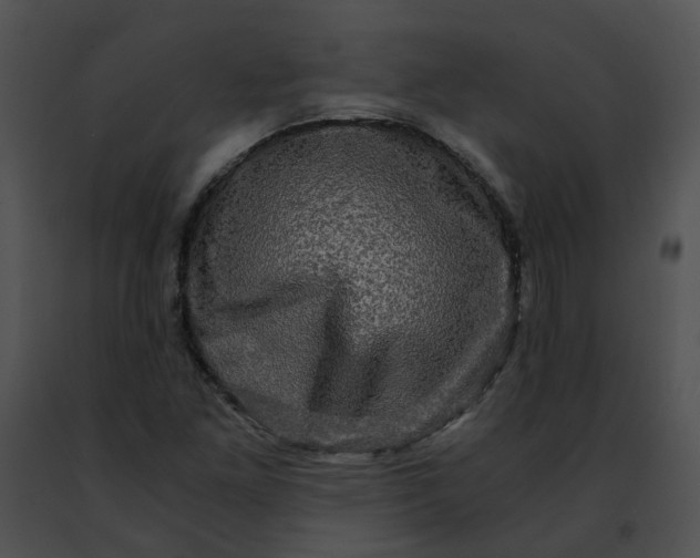 X0000091481261200708301907