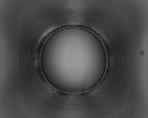 X0000091481262200708301907