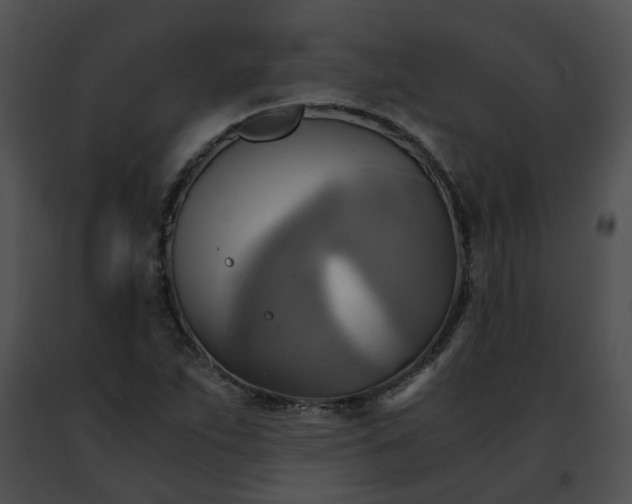 X0000091481263200708301907