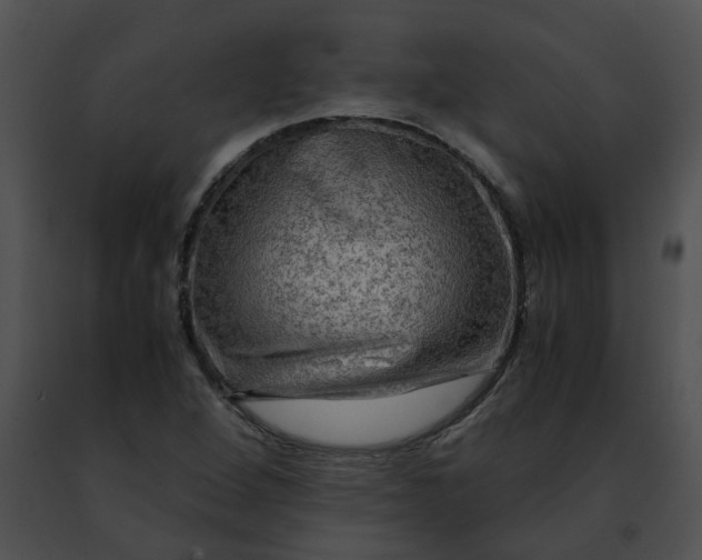 X0000091481264200708301907