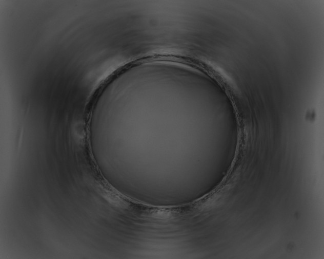 X0000091481266200708301907