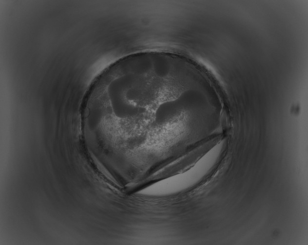 X0000091481267200708301907