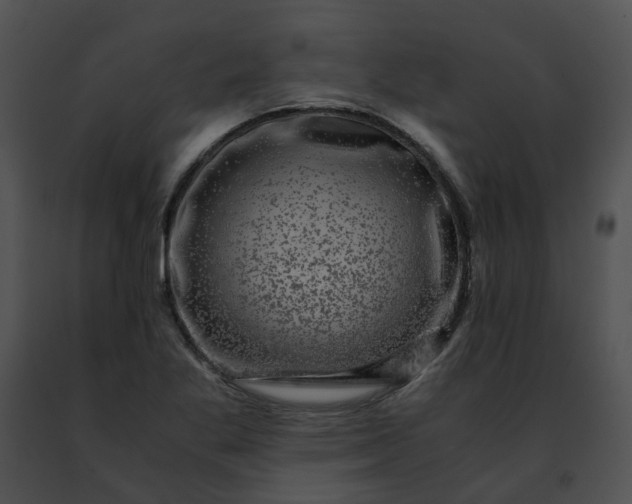 X0000091481269200708301907