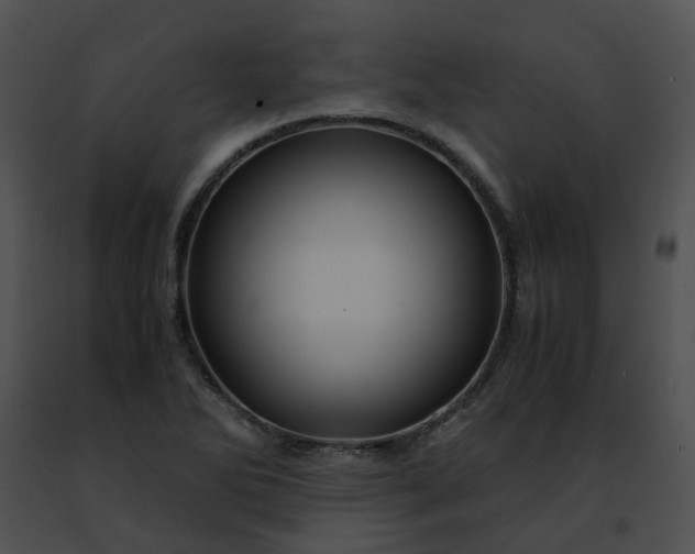 X0000091481270200708301907