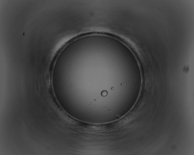 X0000091481271200708301907