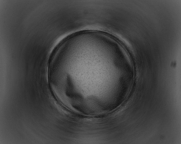 X0000091481272200708301907