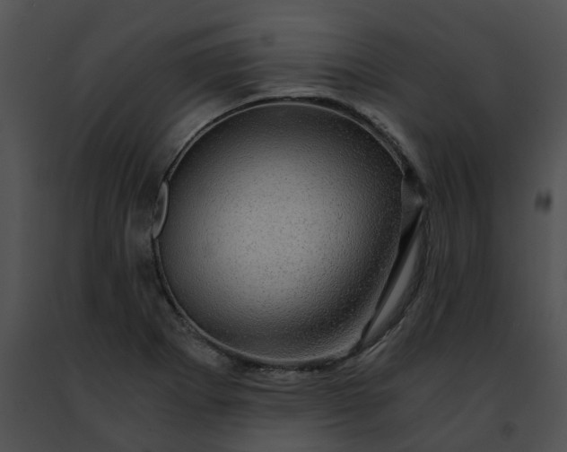 X0000091481273200708301907