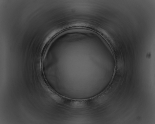 X0000091481274200708301907