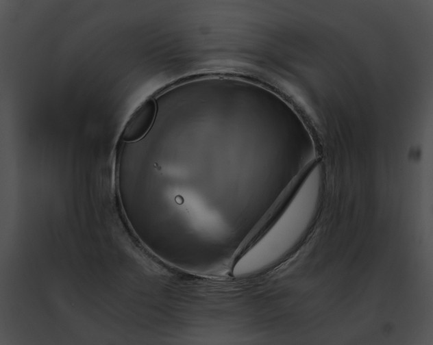 X0000091481275200708301907