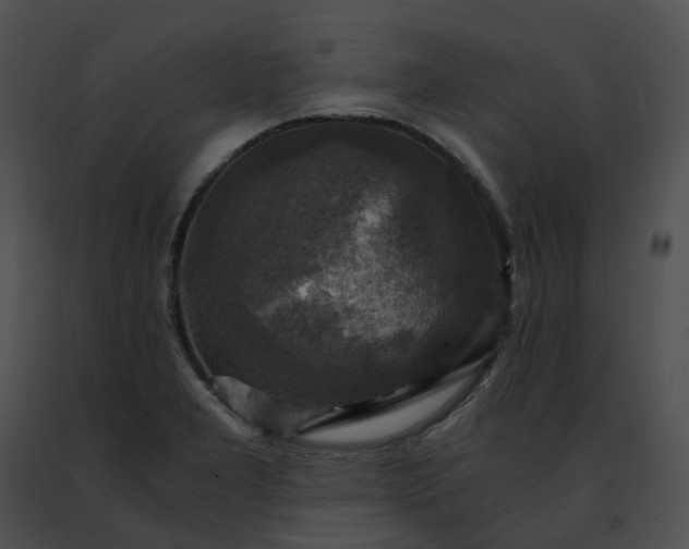 X0000091481277200708301906