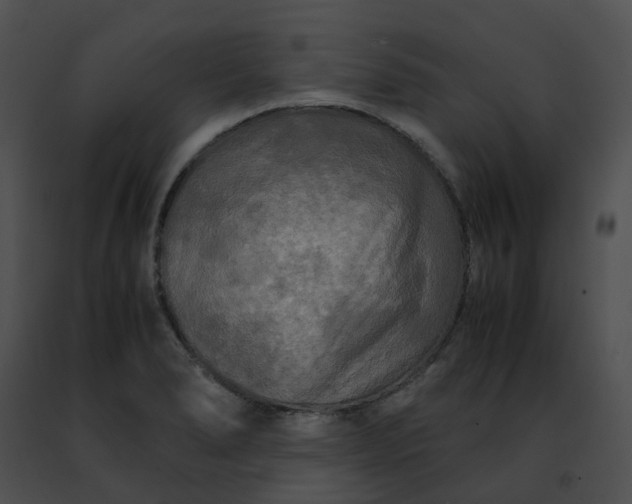 X0000091481278200708301906