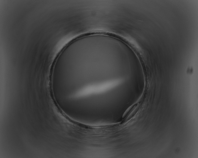 X0000091481279200708301906