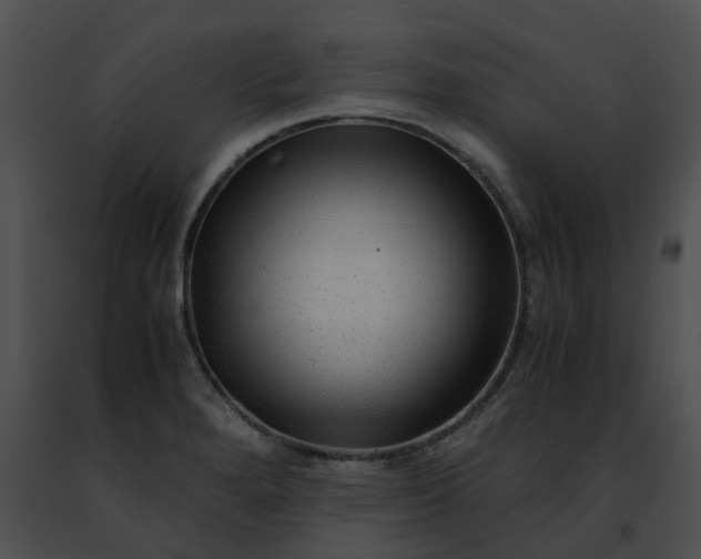 X0000091481280200708301906