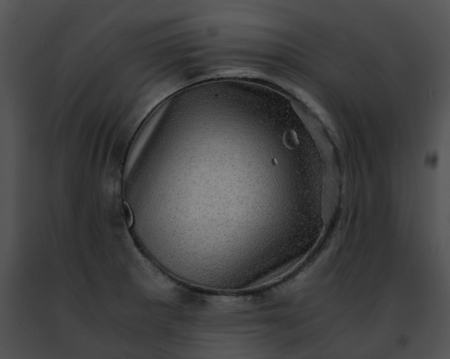 X0000091481281200708301906