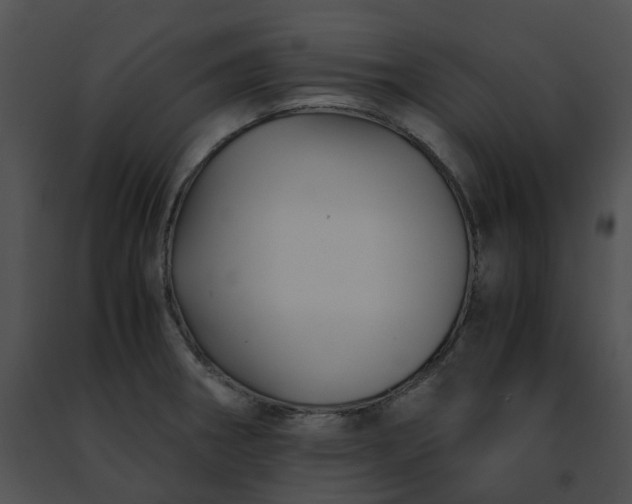 X0000091481282200708301906