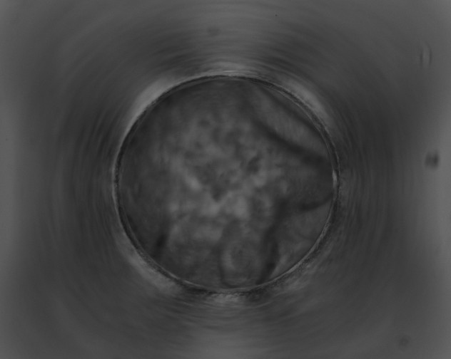 X0000091481283200708301906