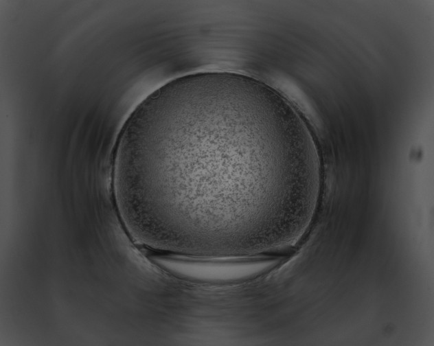 X0000091481284200708301906