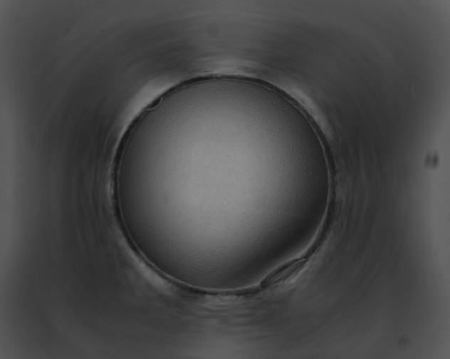 X0000091481285200708301906