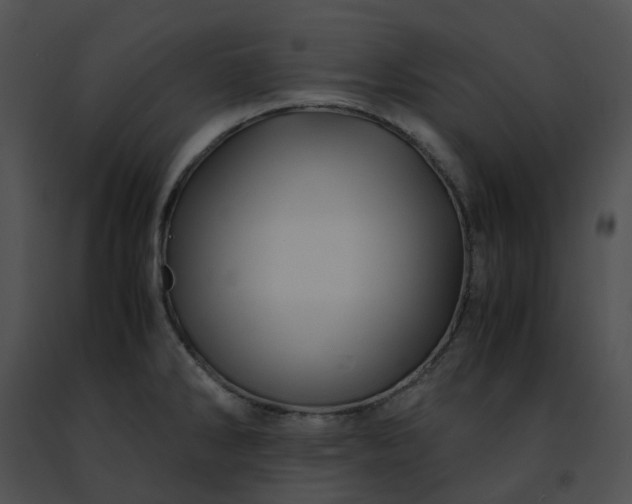 X0000091481286200708301906