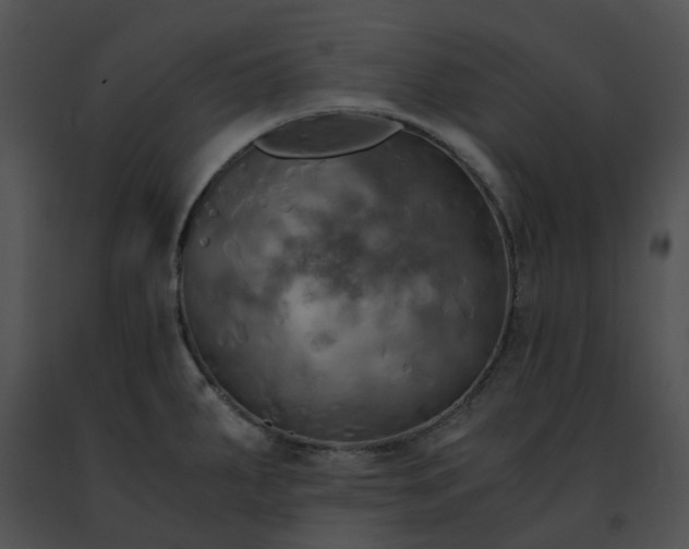 X0000091481287200708301906