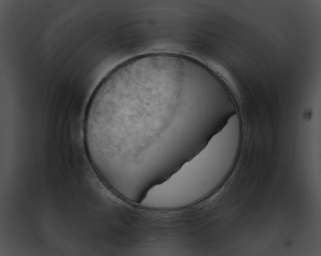 X0000091481288200708301906