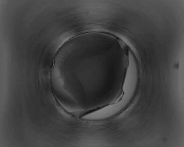 X0000091481289200708301906