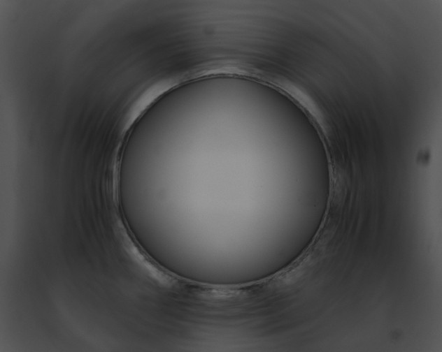 X0000091481290200708301906