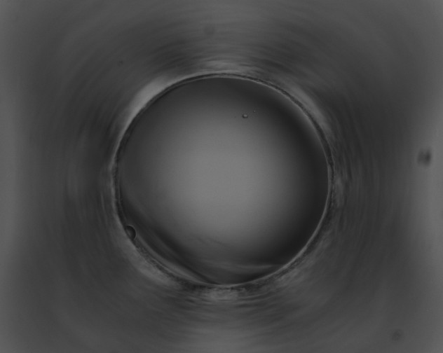 X0000091481291200708301906