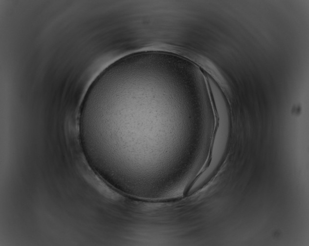 X0000091481292200708301906