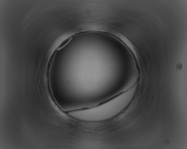 X0000091481293200708301906