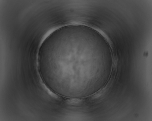 X0000091481294200708301906