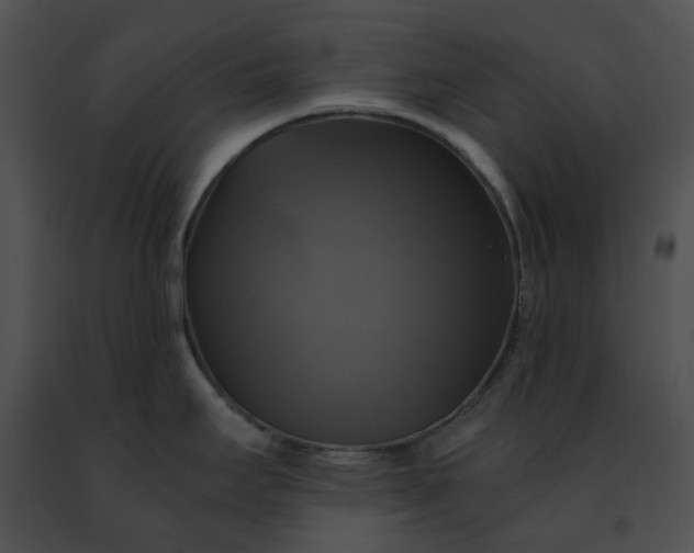 X0000091481295200708301906