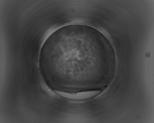 X0000091481296200708301906