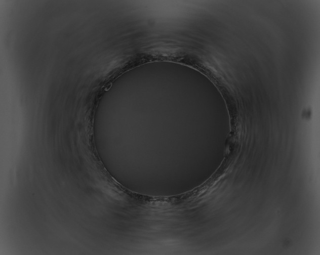 X0000091481297200708301905