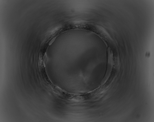 X0000091481298200708301905