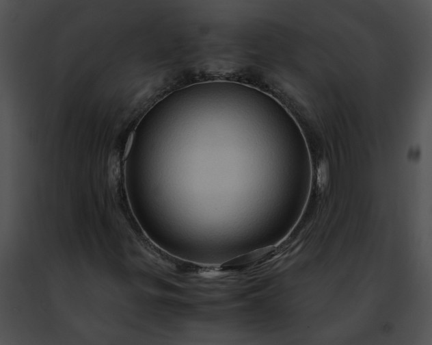 X0000091481299200708301905