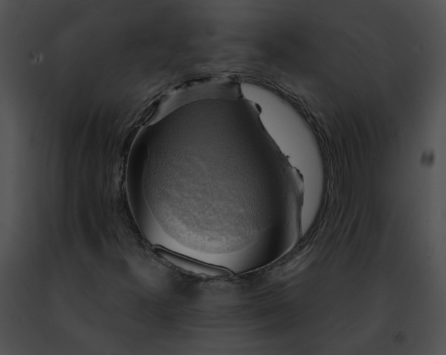 X0000091481300200708301905